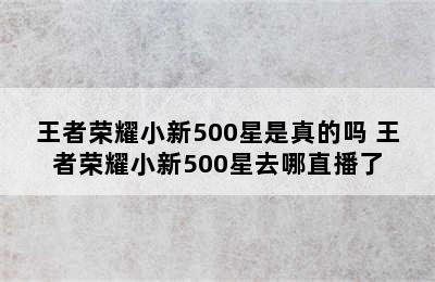 王者荣耀小新500星是真的吗 王者荣耀小新500星去哪直播了